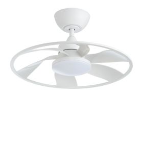 Light Pro 22 In. LED Indoor Matt White Smart Ceiling Fan With DC Motor