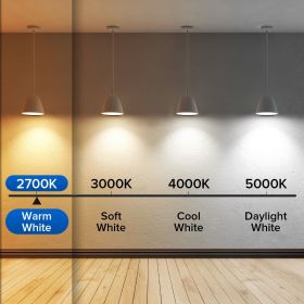 SANSI 60W Equivalent LED Light Bulbs, 22-Year Lifetime,  900 Lumens With Ceramic Technology,  Non-Dimmable, E26 Base, A15 Size, Energy-Efficient & Saf (Option: 2pack-2700K)
